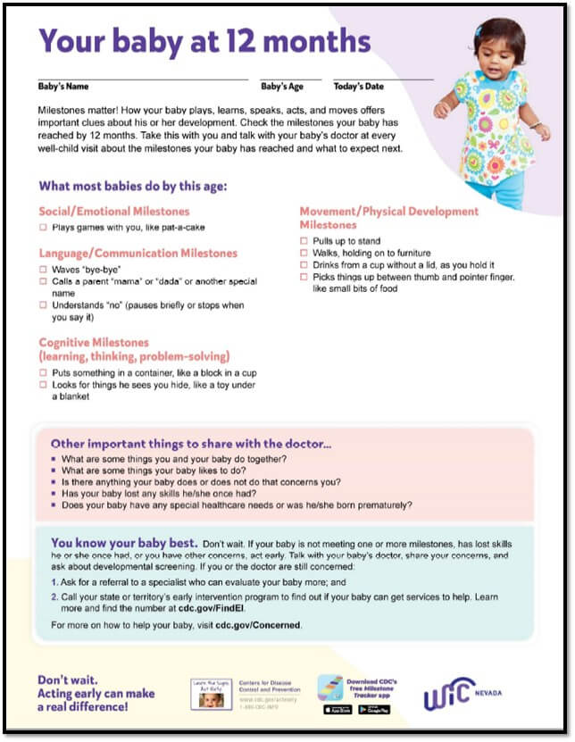 Toddler Essentials: Months 12-16 - Vandi Fair